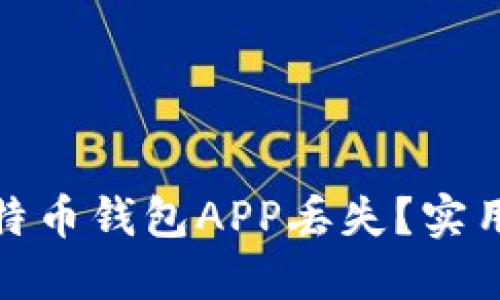 如何应对比特币钱包APP丢失？实用指南与建议