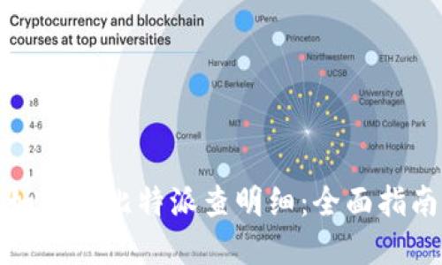 如何在比特派查明细：全面指南