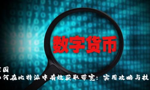 家园
如何在比特派中有效获取带宽: 实用攻略与技巧