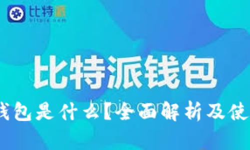 USDT钱包是什么？全面解析及使用指南