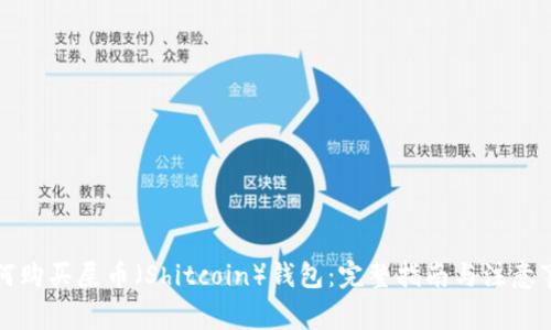 如何购买屎币（Shitcoin）钱包：完整指南与注意事项