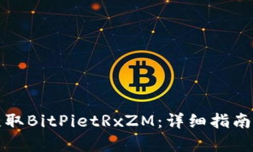 如何获取BitPietRxZM：详细指南与解析