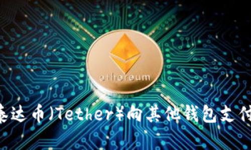 如何通过泰达币（Tether）向其他钱包支付：详细指南