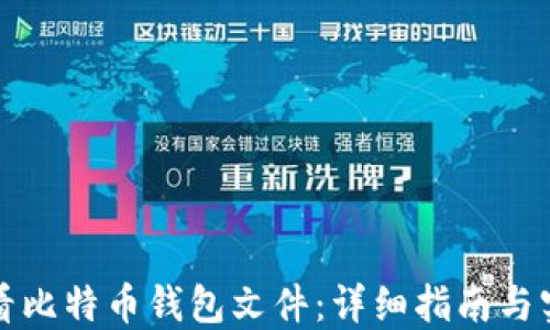 
如何查看比特币钱包文件：详细指南与实用技巧