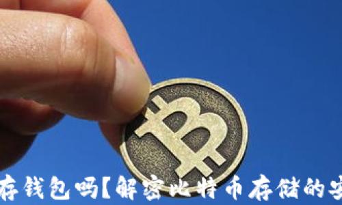 
比特币必须存钱包吗？解密比特币存储的安全性与方式