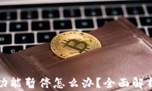 
比特派认证功能暂停怎么办？全面解析与解决方案