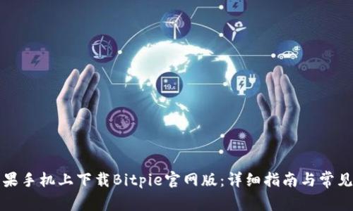 如何在苹果手机上下载Bitpie官网版：详细指南与常见问题解答