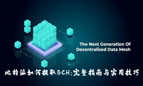 比特派如何提取BCH：完整指南与实用技巧