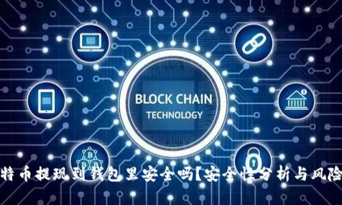 : 比特币提现到钱包里安全吗？安全性分析与风险防范