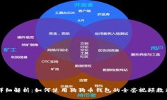 详细解析：如何使用狗狗