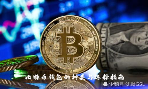 比特币钱包的种类与选择指南