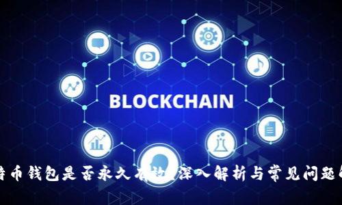比特币钱包是否永久有效？深入解析与常见问题解答