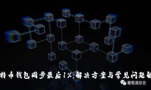 比特币钱包同步最后1%：解决方案与常见问题解析