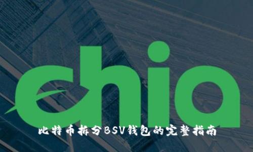 比特币拆分BSV钱包的完整指南