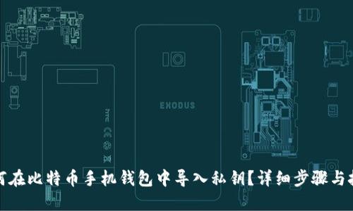 如何在比特币手机钱包中导入私钥？详细步骤与技巧