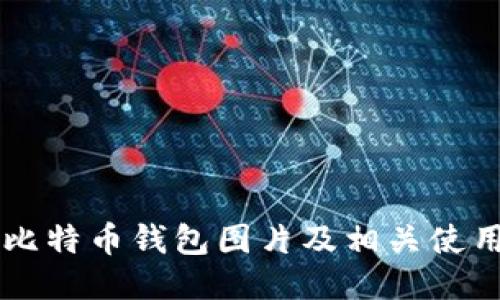 高清比特币钱包图片及相关使用指南