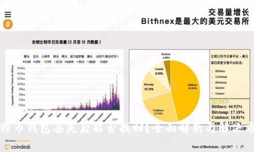 比特币钱包丢失后能否找回？全面解析与解决方案