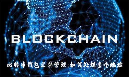 比特币钱包文件管理:如何处理多个地址