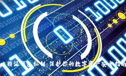 比特派钱包私钥：保护你的数字资产安全指南