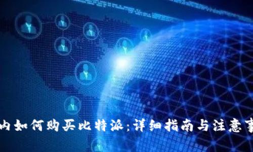 国内如何购买比特派：详细指南与注意事项