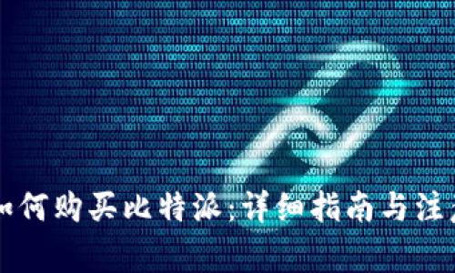 国内如何购买比特派：详细指南与注意事项