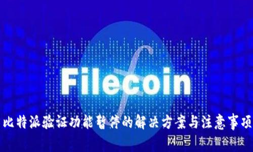 比特派验证功能暂停的解决方案与注意事项