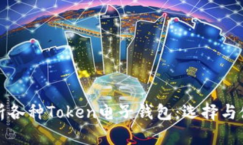 全面解析各种Token电子钱包：选择与使用指南