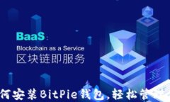 全面指南：如何安装BitP