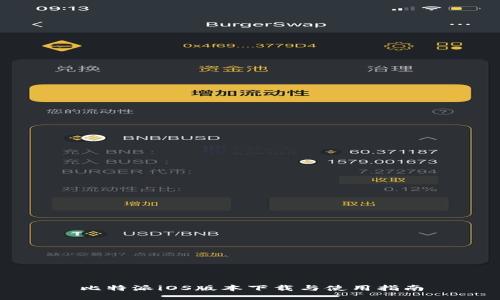 比特派iOS版本下载与使用指南