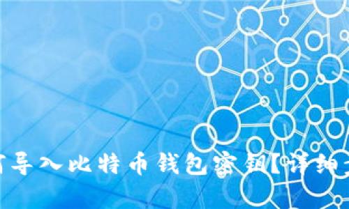 Mac如何导入比特币钱包密钥？详细步骤解析