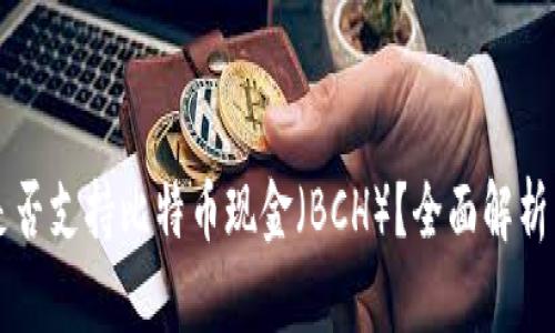 苹果钱包是否支持比特币现金（BCH）？全面解析与用户指导