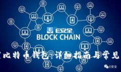 如何设置比特币钱包：详细指南与常见问题解答