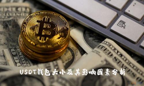 USDT钱包大小及其影响因素分析