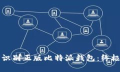 如何识别正版比特派钱包
