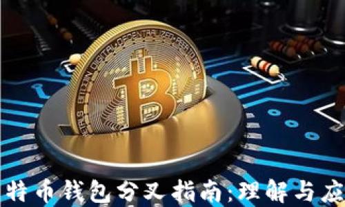 
比特币钱包分叉指南：理解与应对