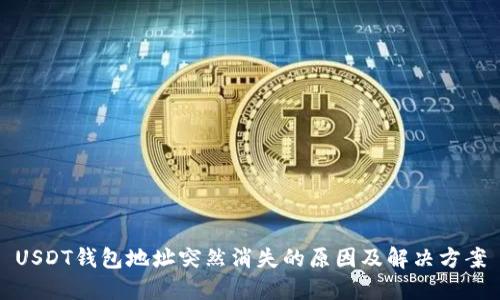 USDT钱包地址突然消失的原因及解决方案