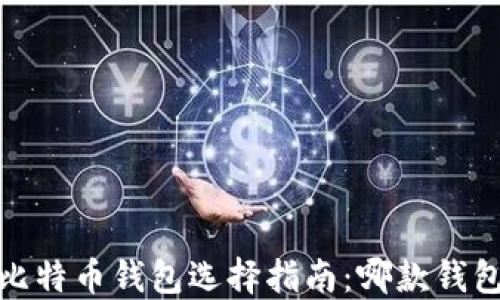 
2023年比特币钱包选择指南：哪款钱包更好用？