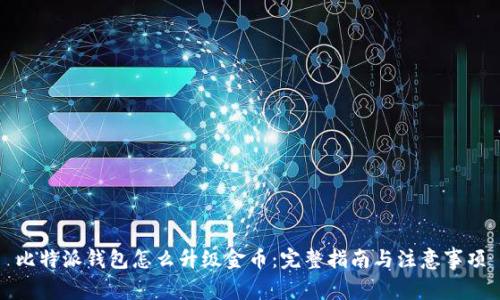 比特派钱包怎么升级金币：完整指南与注意事项