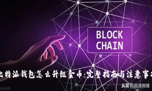 比特派钱包怎么升级金币：完整指南与注意事项