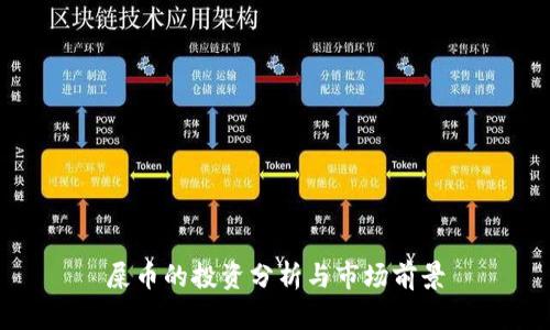 屎币的投资分析与市场前景