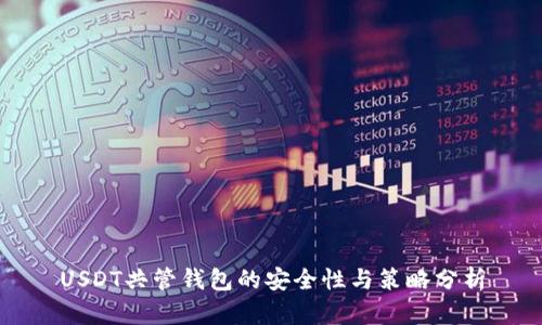 USDT共管钱包的安全性与策略分析