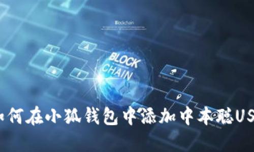  如何在小狐钱包中添加中本聪USDT