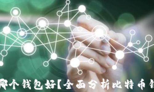 
比特币存哪个钱包好？全面分析比特币钱包的选择