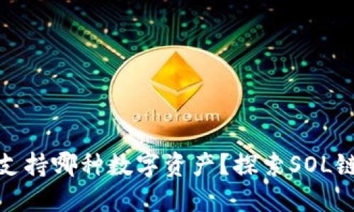 小狐钱包支持哪种数字资产？探索SOL链的相关性