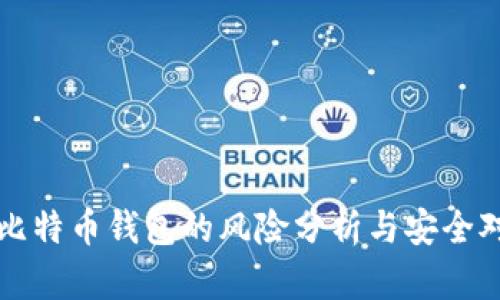 存比特币钱包的风险分析与安全对策