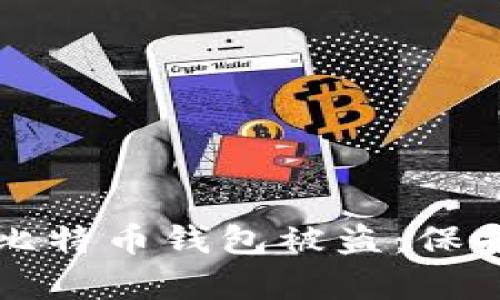 如何有效防止比特币钱包被盗：保护你的数字资产