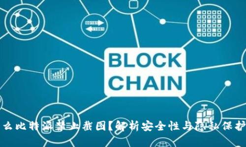 为什么比特派禁止截图？解析安全性与隐私保护措施