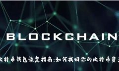 比特币钱包恢复指南：如