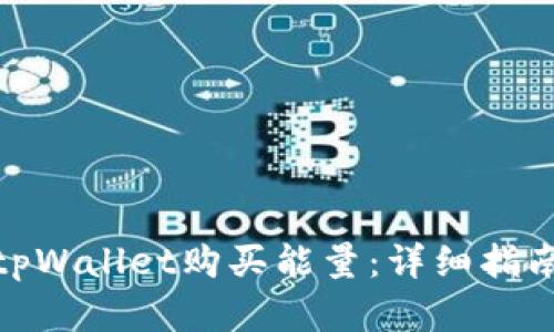 : 如何通过tpWallet购买能量：详细指南与实用技巧