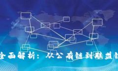 区块链模式的全面解析: 从公有链到联盟链的多样